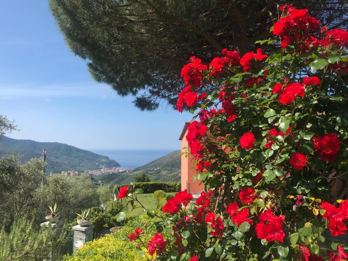 La Vignana - 5 Terre Hotell Levanto Exteriör bild